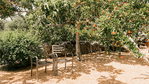 The Old Cottage Others