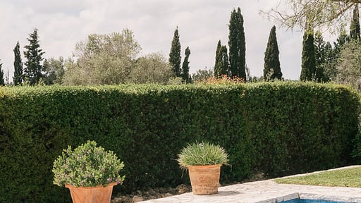 The Old Cottage Others