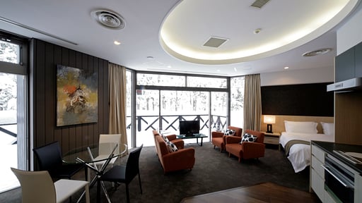 The Ridge Studio Apartment Living room