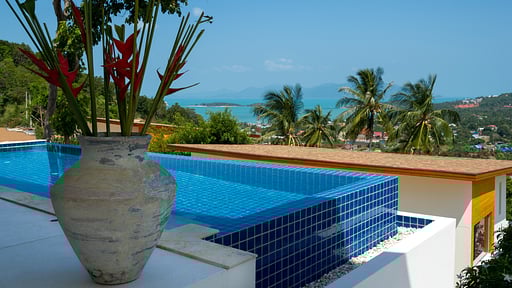 The Ridge Villa 7 Swimming pool