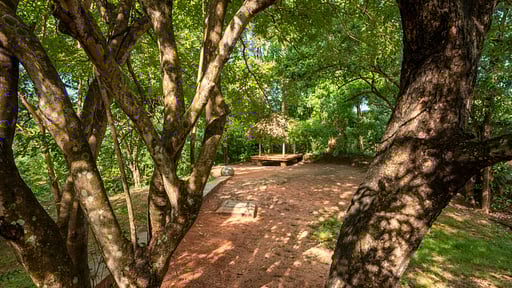 River House Dambulla Others