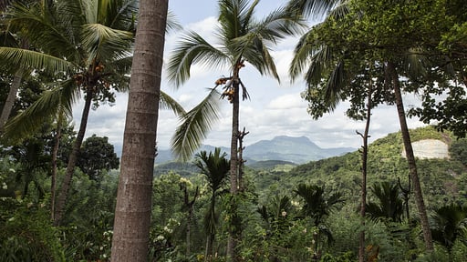 The Rosyth Estate House Umgebung