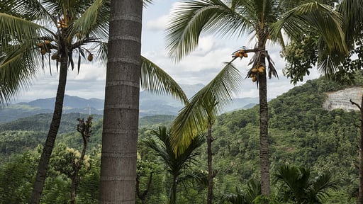 The Rosyth Estate House Umgebung