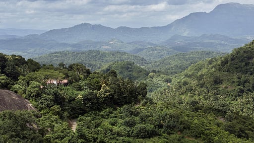 The Rosyth Estate House Umgebung