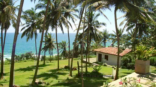 The Saffron House Garden