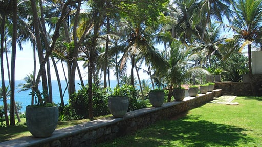 The Saffron House Garden