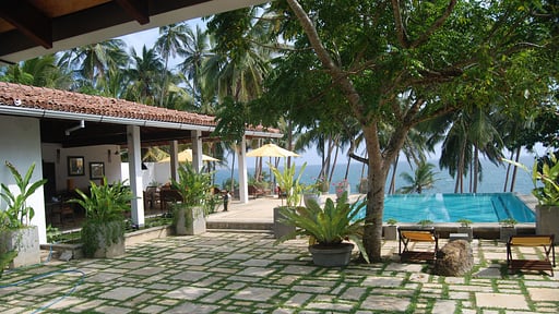 The Saffron House Others