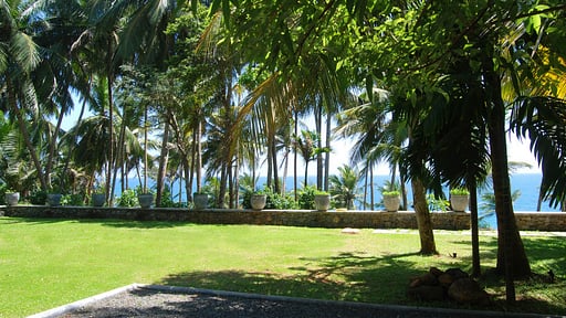 The Saffron House Garden