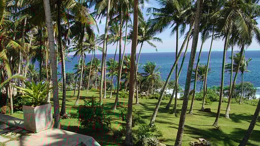 The Saffron House Garden