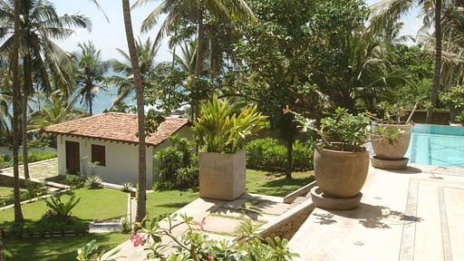 The Saffron House Others