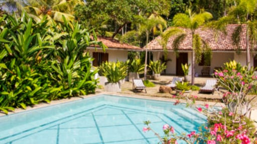 The Saffron House Swimming pool