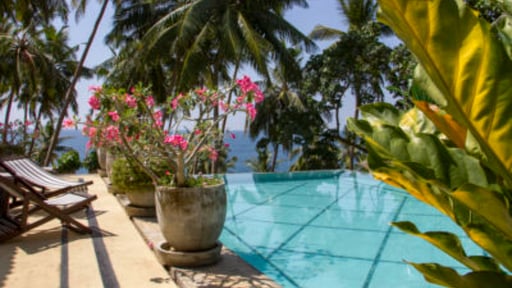 The Saffron House Swimming pool