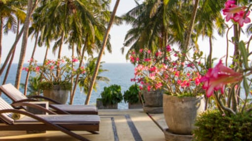 The Saffron House Others