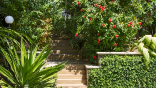 The Saffron House Others