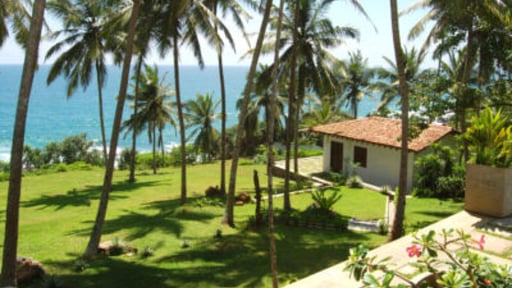 The Saffron House Others