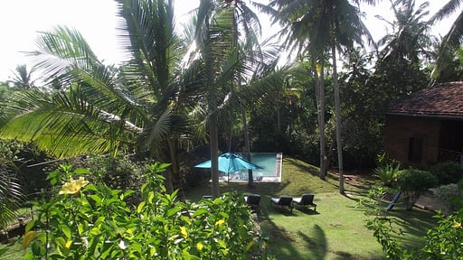 The Teak House Garden