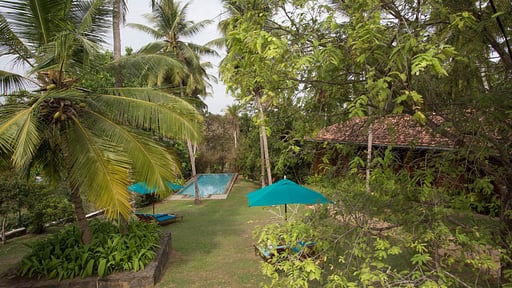 The Teak House Garden