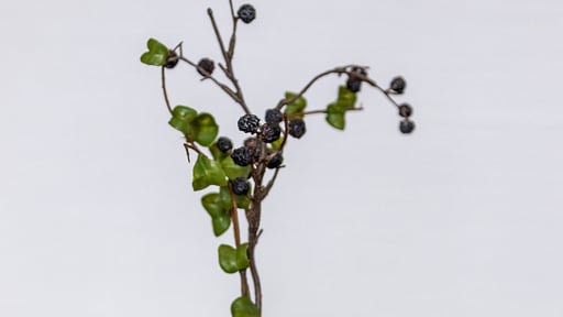 The Vale Niseko 2 Bedroom Resort Deluxe Others 