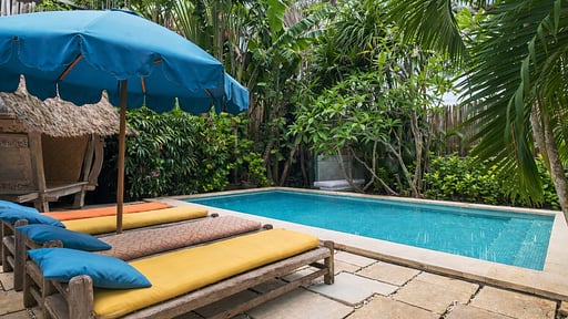 The White House Swimming pool