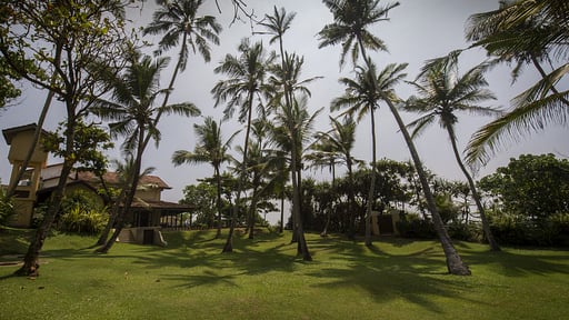 Three Sisters Beach House Garden