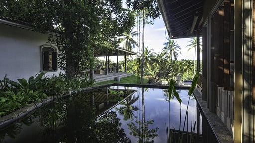 Three Sisters Plantation Others