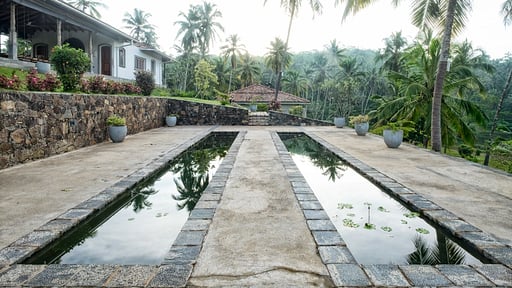 Three Sisters Plantation Others