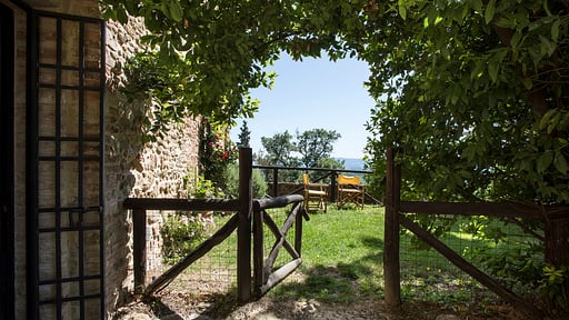 Tower Apartment Garden