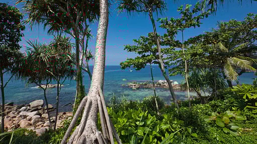 Trisara Ocean Front Residence 31 Others