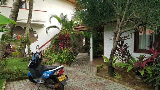 Tropical Beach House Others