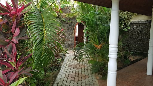 Tropical Beach House Others