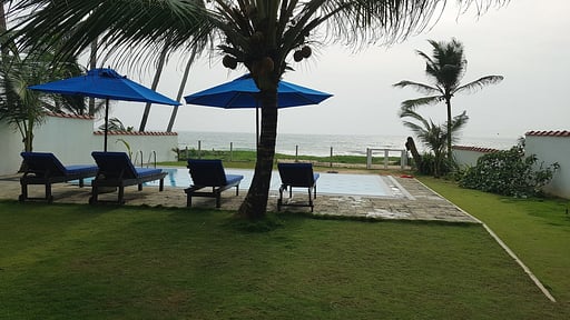 Tropical Beach House Garden