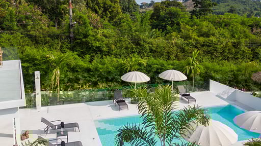 Tropical Garden 49 Others