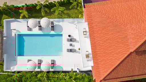 Tropical Garden 49 Others