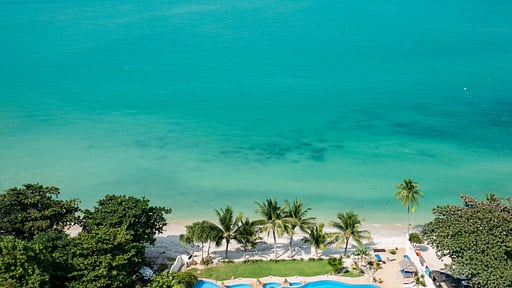 Tropical Garden 50 Drone pictures