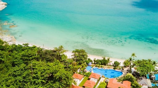 Tropical Garden 50 Drone pictures