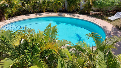 Tropical Palms Apartment Schwimmbad