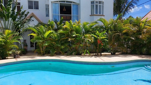 Tropical Palms Apartment Schwimmbad