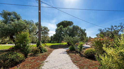 Trulli Biancapetra Others