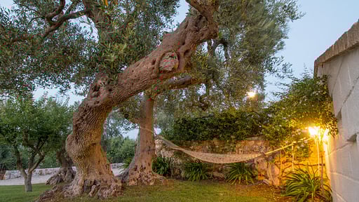 Trulli Emilia Others