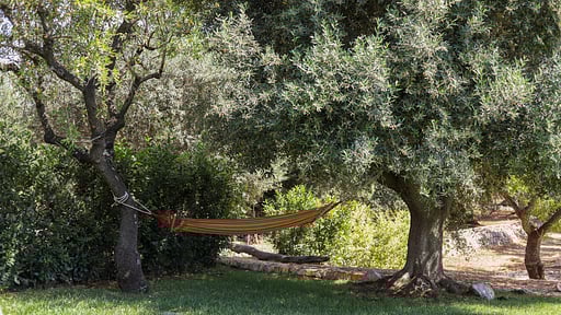 Trulli Le Petunie Autres