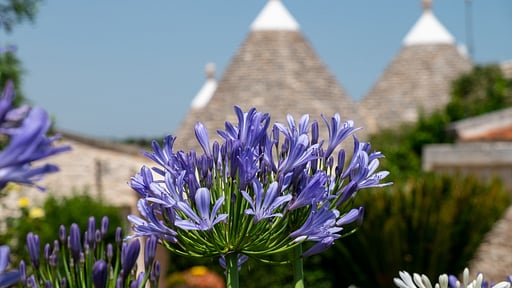 Trullo Camellia Garten