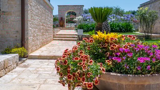 Trullo Gerbera Garten