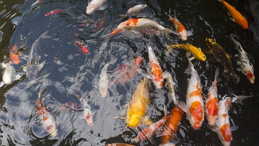 Twin Villas Natai Autres