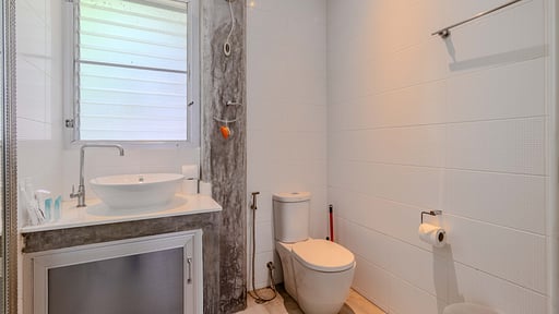 V82 Papaya Villa Others