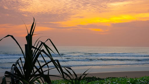 Veyla - Beach Villa Surroundings