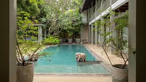 Villa 41 Lighthouse Street Swimming pool