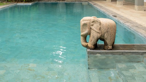 Villa 41 Lighthouse Street Others 