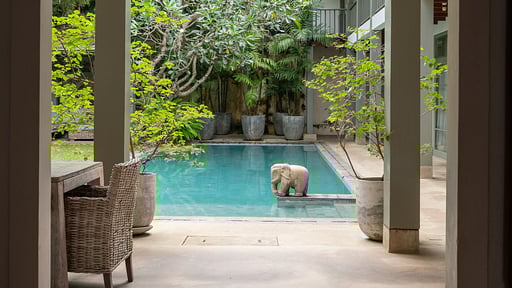 Villa 41 Lighthouse Street Terrace/Veranda