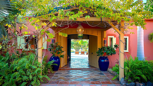 Villa African Queen Others