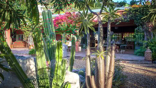 Villa African Queen Garden